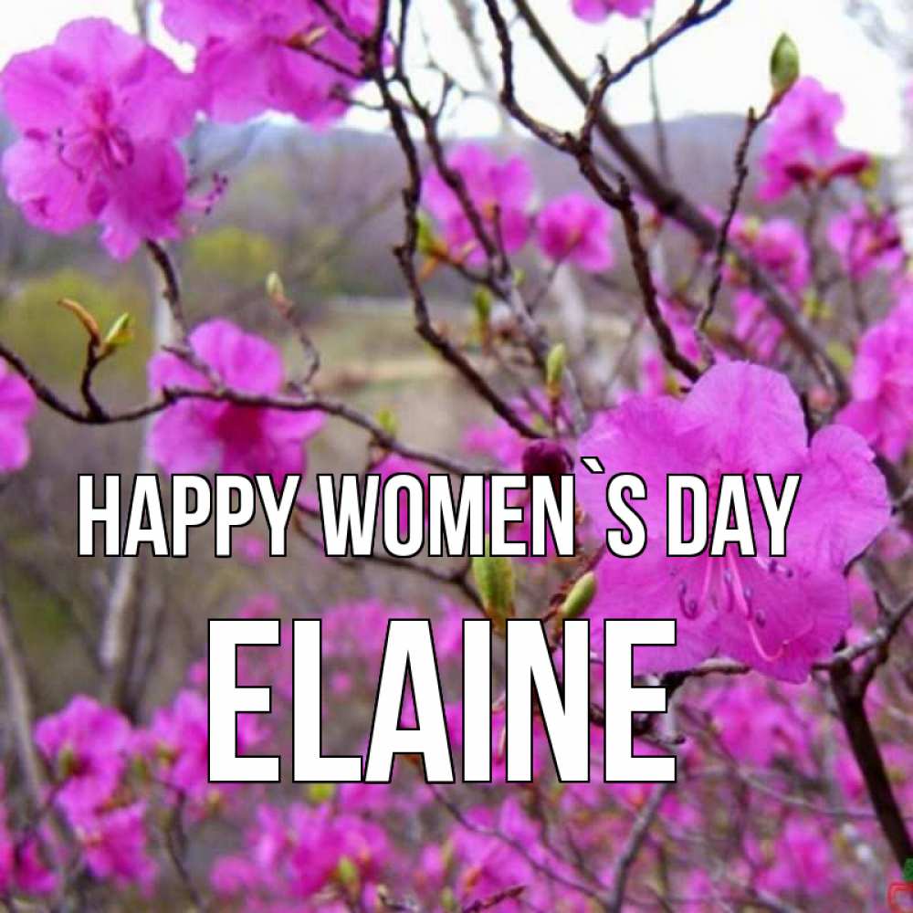 Greetings card с именем, Elaine happy women`s day международный женский день Greetings with text for free download 